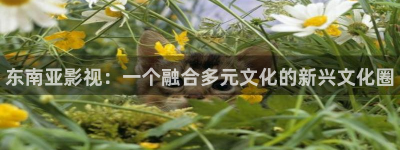 奇米在线三级观看：东南亚影视：一个融合多元文化的新兴文化圈