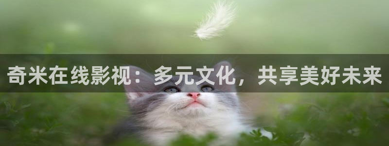奇米在线视频第四色