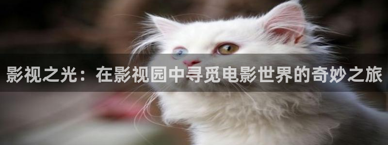 奇米在线视频免费：影视之光：在影视园中寻觅电影世界的奇妙之旅