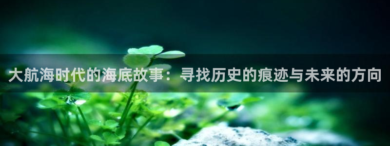 奇米在线播放777：大航海时代的海底故事：寻找历史的痕迹与未来的方向