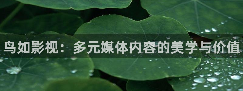 奇米在线免费观看视频：鸟如影视：多元媒体内容的美学与价值