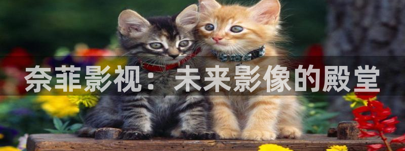 奇米在线观看视频