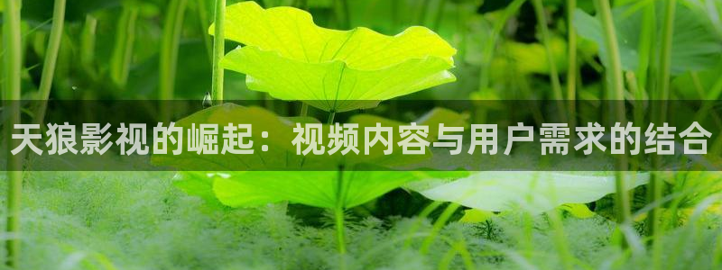 奇米在线国产