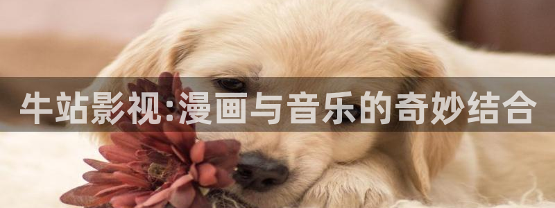奇米在线播放视频：牛站影视:漫画与音乐的奇妙结合
