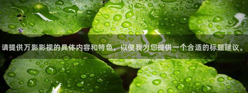 奇米在线视频二区