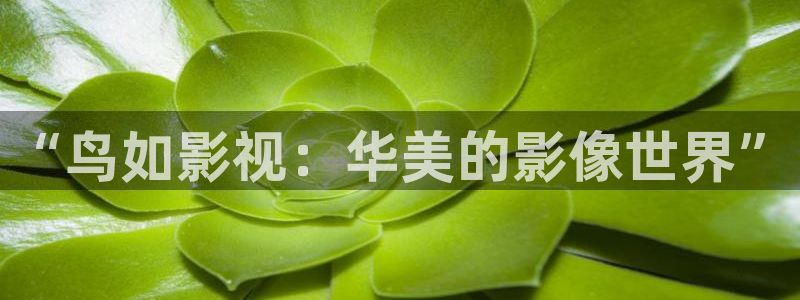 奇米在线电影：“鸟如影视：华美的影像世界”