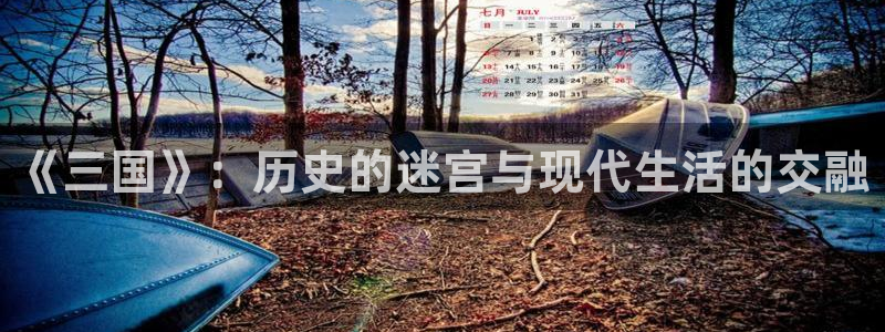 奇米在线播放：《三国》：历史的迷宫与现代生活的交融